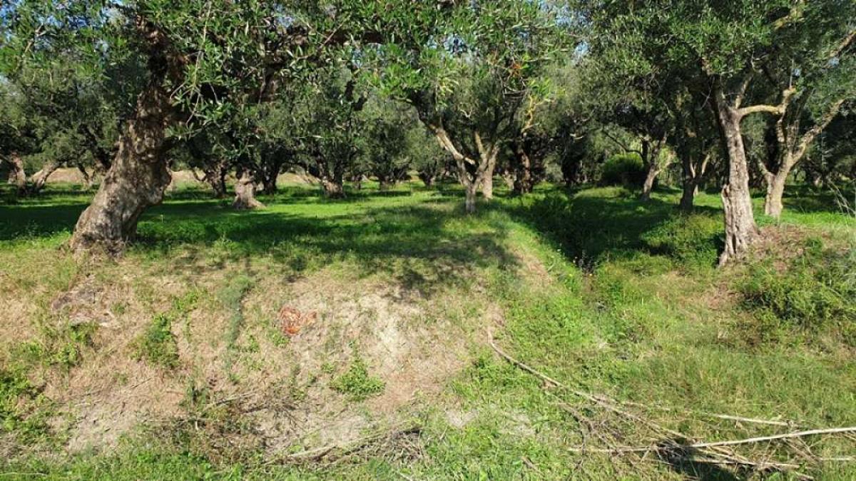 Picture of Residential Land For Sale in Zakinthos, Attica, Greece