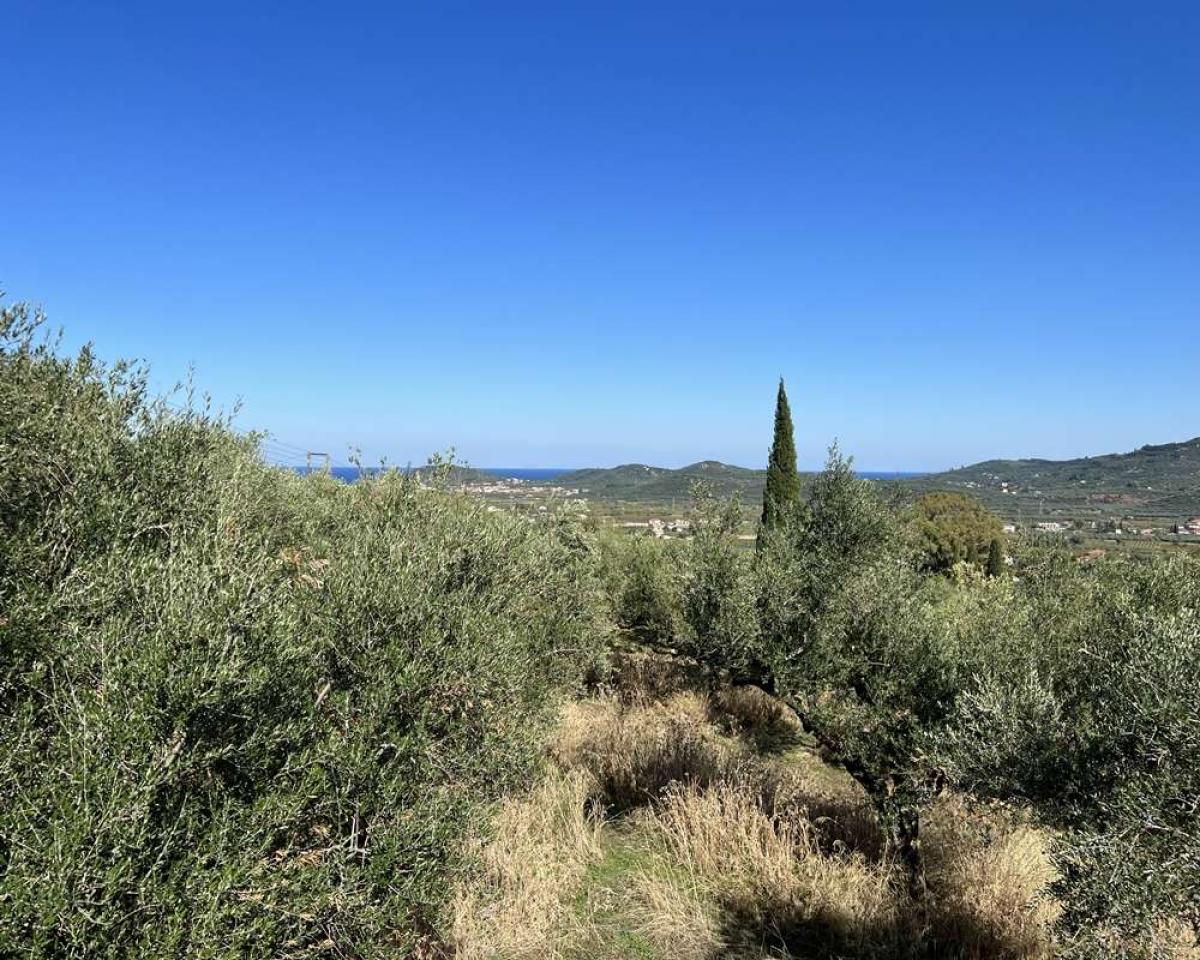 Picture of Residential Land For Sale in Zakinthos, Attica, Greece