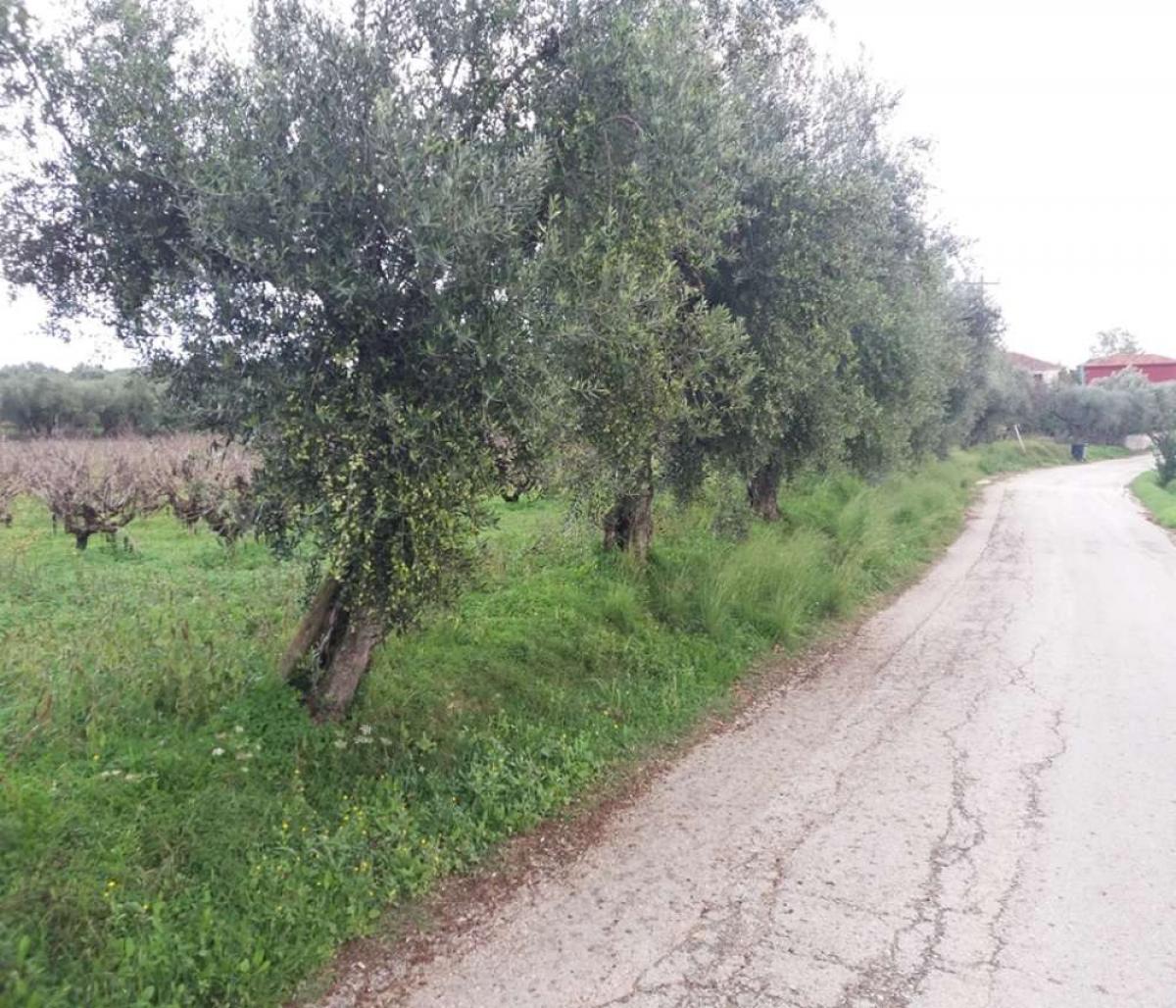 Picture of Residential Land For Sale in Zakinthos, Attica, Greece