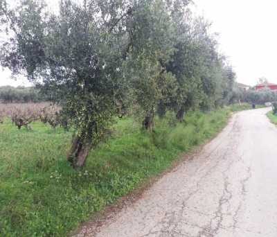 Residential Land For Sale in Zakinthos, Greece