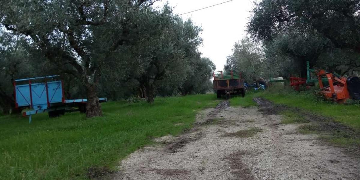 Picture of Residential Land For Sale in Zakinthos, Attica, Greece