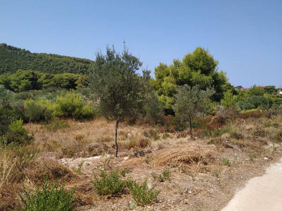 Picture of Residential Land For Sale in Zakinthos, Attica, Greece