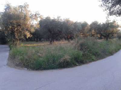 Residential Land For Sale in 