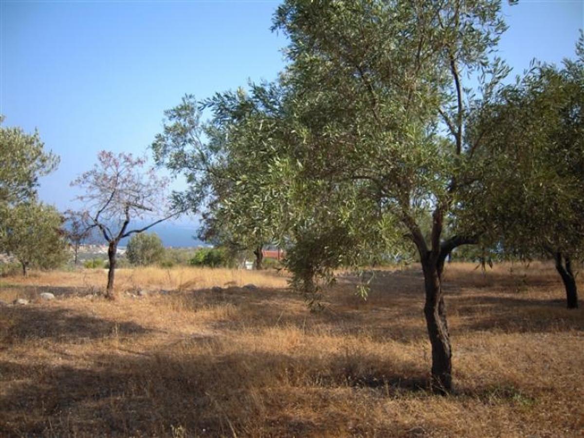 Picture of Residential Land For Sale in Attica, Pontevedra, Greece
