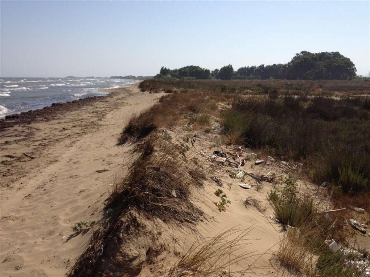 Picture of Residential Land For Sale in Ilia, Other, Greece