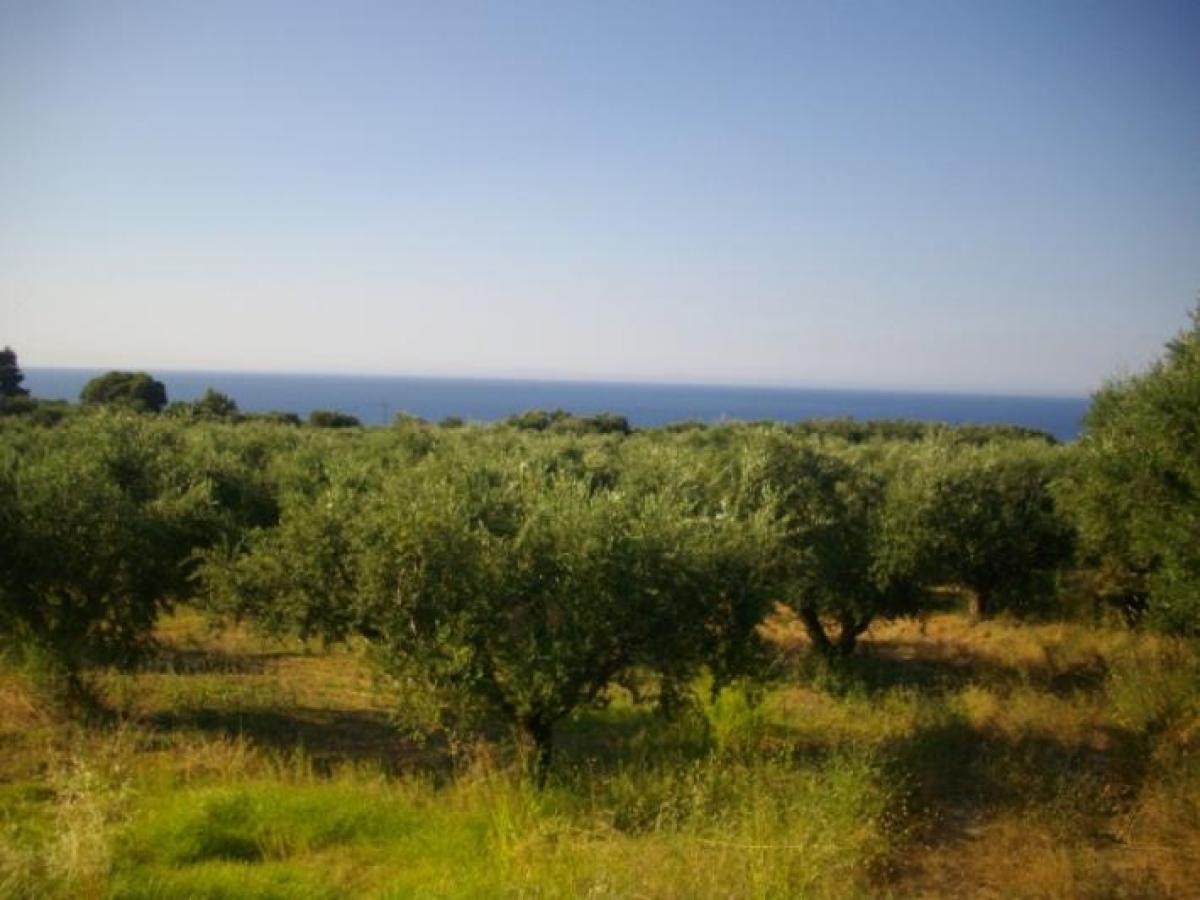 Picture of Residential Land For Sale in Zakinthos, Attica, Greece