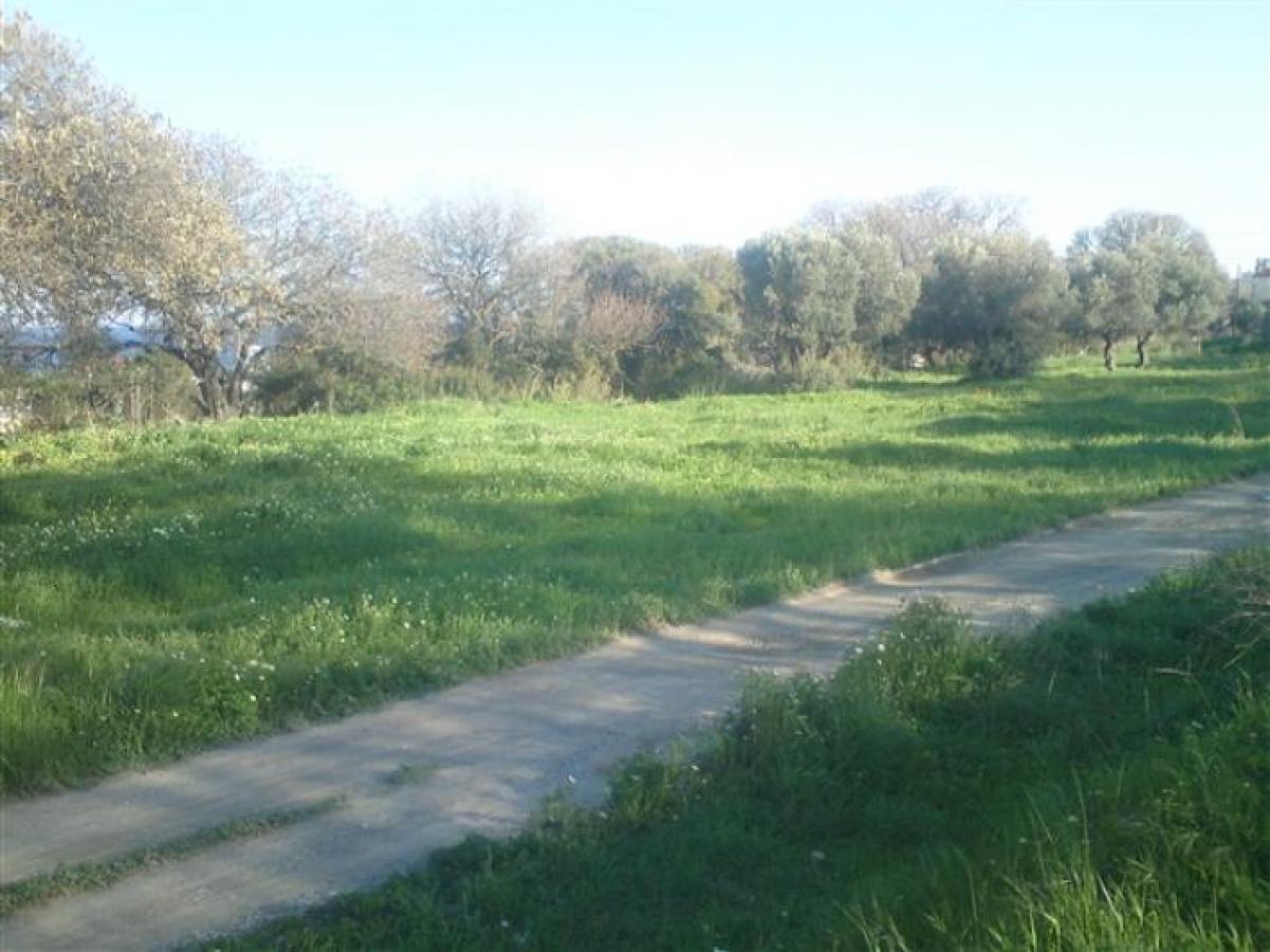 Picture of Residential Land For Sale in Dodecanese, Other, Greece