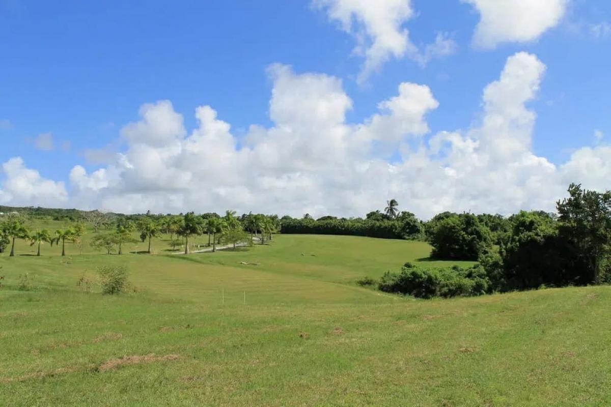 Picture of Residential Land For Sale in Bridgetown, Saint Michael, Barbados