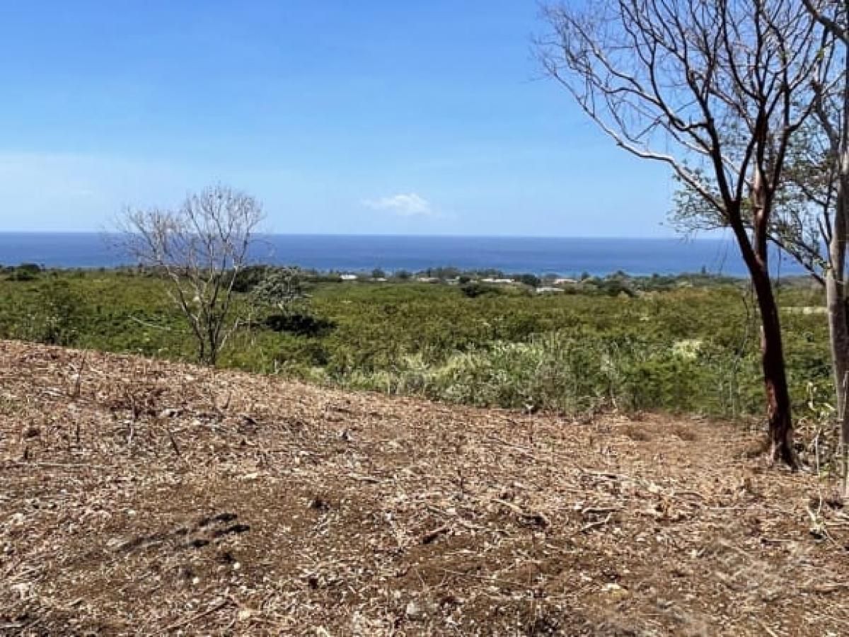 Picture of Residential Land For Sale in Bridgetown, Saint Michael, Barbados