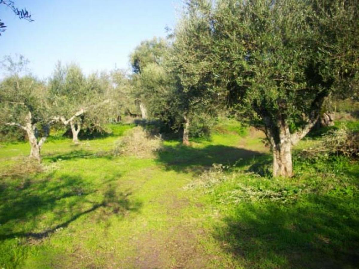 Picture of Residential Land For Sale in Zakinthos, Attica, Greece