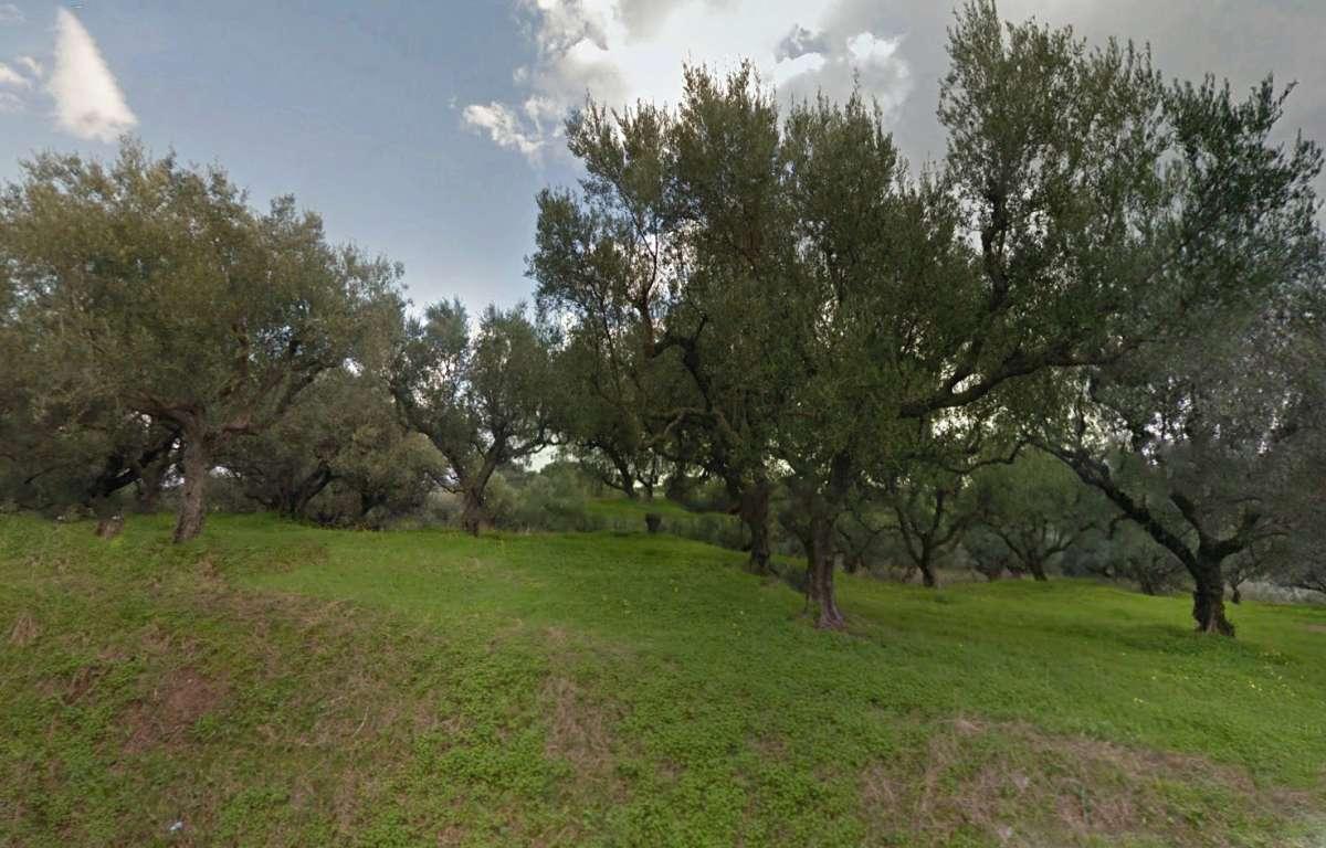 Picture of Residential Land For Sale in Zakinthos, Attica, Greece