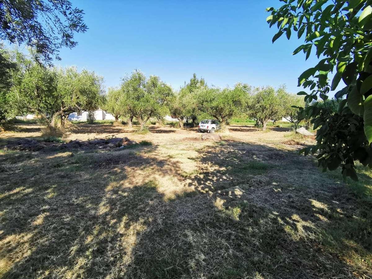 Picture of Residential Land For Sale in Zakinthos, Attica, Greece