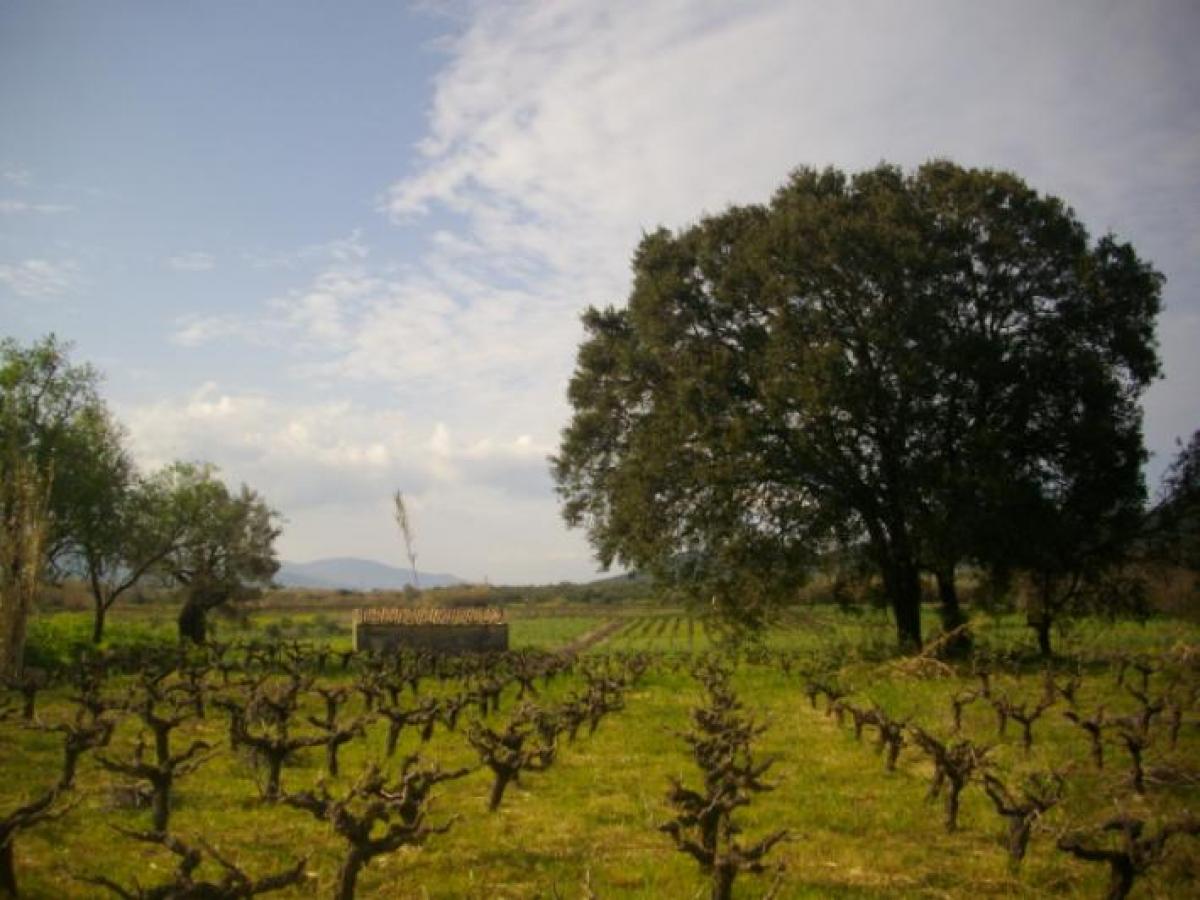 Picture of Residential Land For Sale in Zakinthos, Attica, Greece