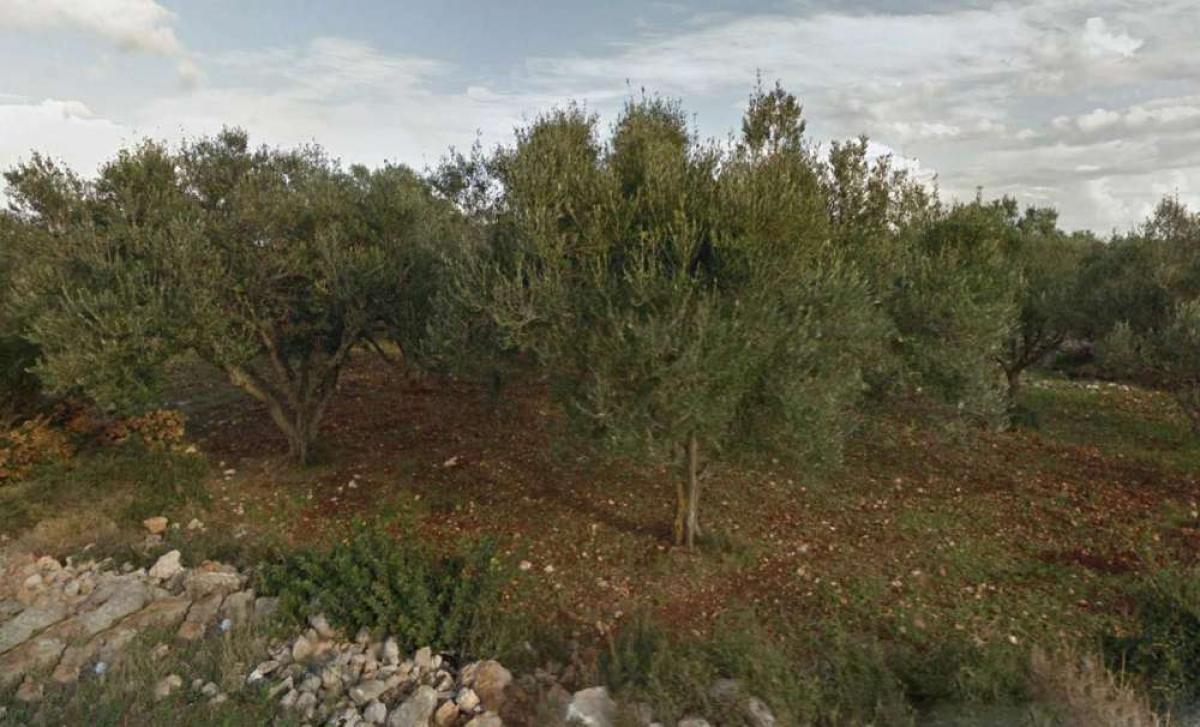 Picture of Residential Land For Sale in Zakinthos, Attica, Greece