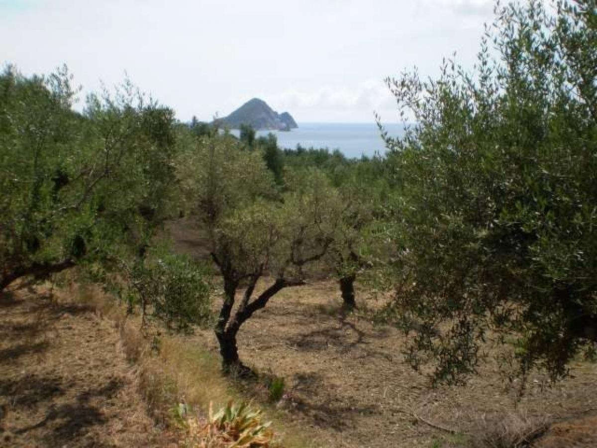 Picture of Residential Land For Sale in Zakinthos, Attica, Greece