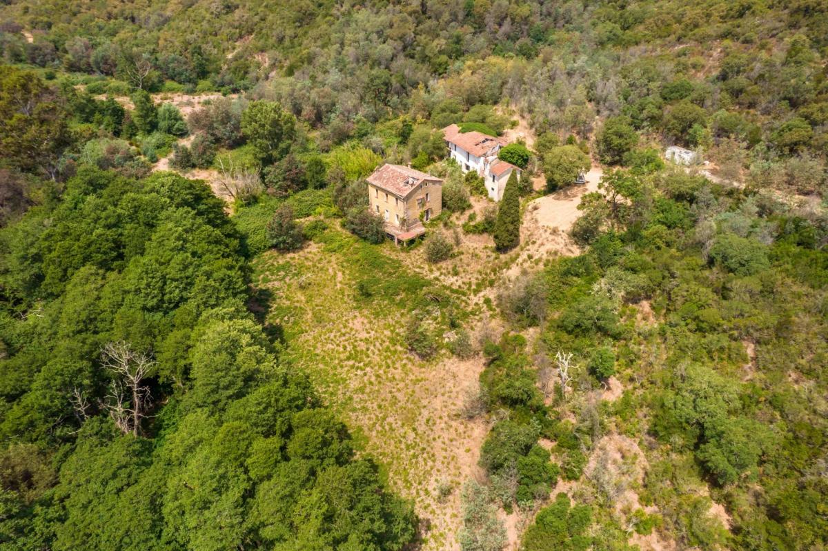 Picture of Villa For Sale in Cannes, Cote d'Azur, France