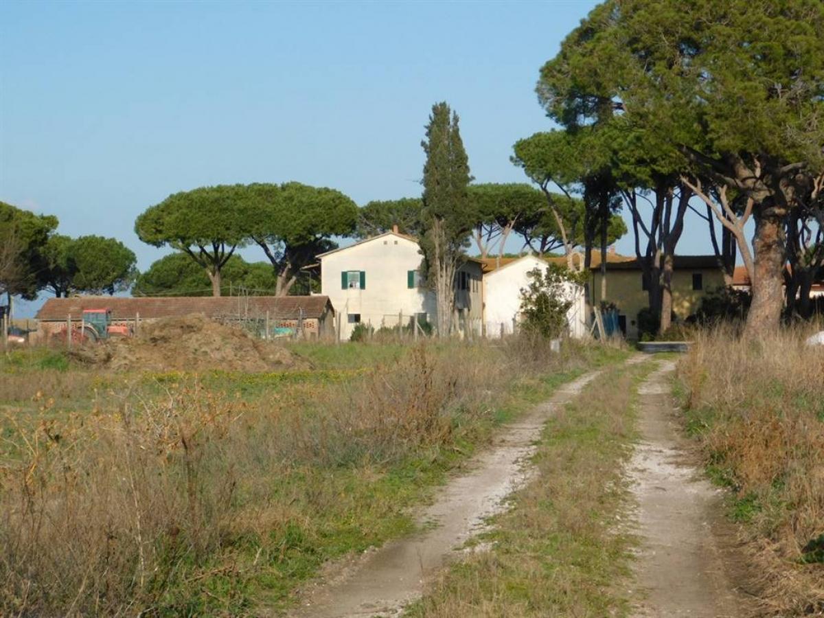 Picture of Home For Sale in Grosseto, Tuscany, Italy