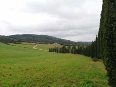 Residential Land For Sale in Murlo, Italy
