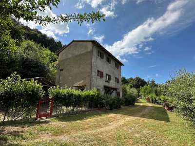 Home For Sale in Sassetta, Italy