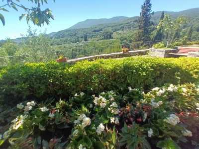 Home For Sale in Cetona, Italy