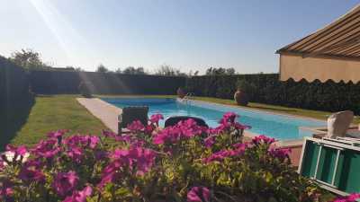 Villa For Sale in Fauglia, Italy