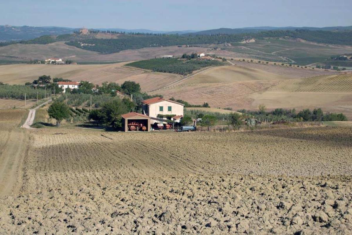 Picture of Home For Sale in Cinigiano, Tuscany, Italy