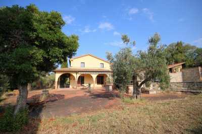 Villa For Sale in Campiglia Marittima, Italy