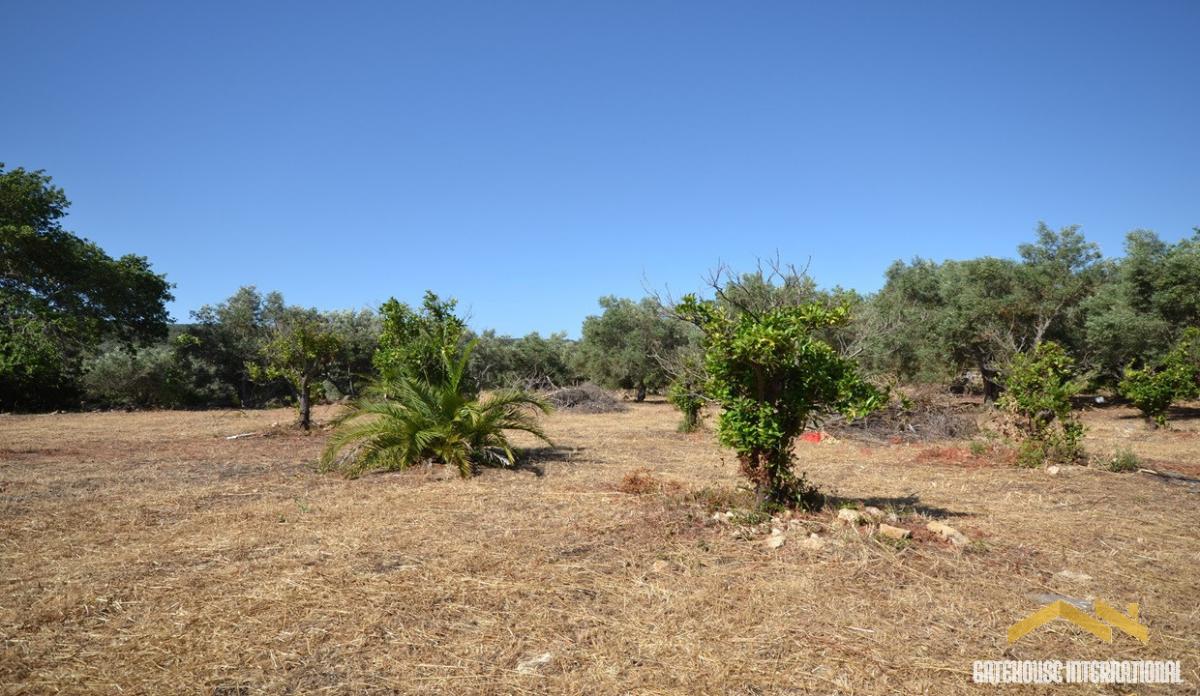Picture of Residential Land For Sale in Loule, Faro, Portugal