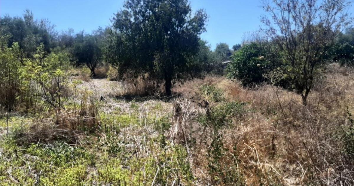 Picture of Residential Land For Sale in Paphos, Paphos, Cyprus