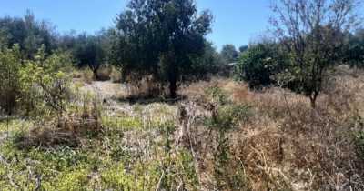 Residential Land For Sale in Paphos, Cyprus