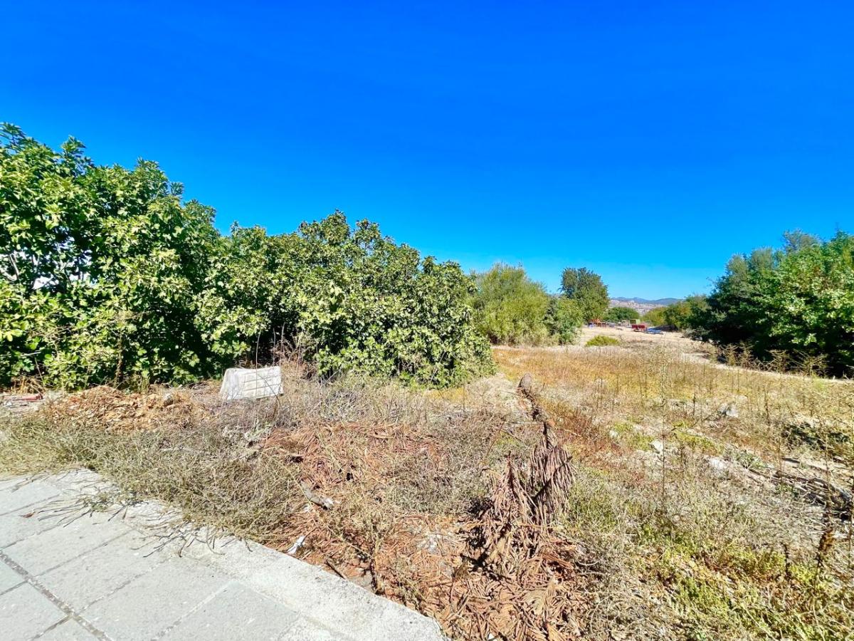 Picture of Residential Land For Sale in Paphos, Paphos, Cyprus