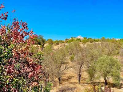 Residential Land For Sale in Paphos, Cyprus