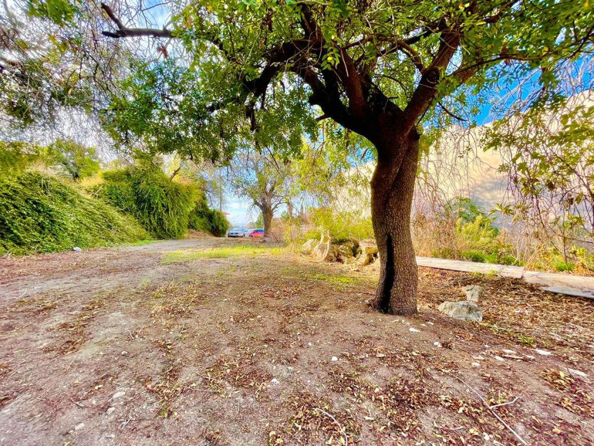 Picture of Residential Land For Sale in Paphos, Paphos, Cyprus