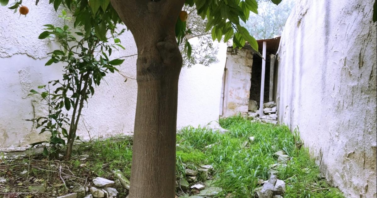 Picture of Home For Sale in Paphos, Paphos, Cyprus