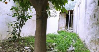 Home For Sale in Paphos, Cyprus