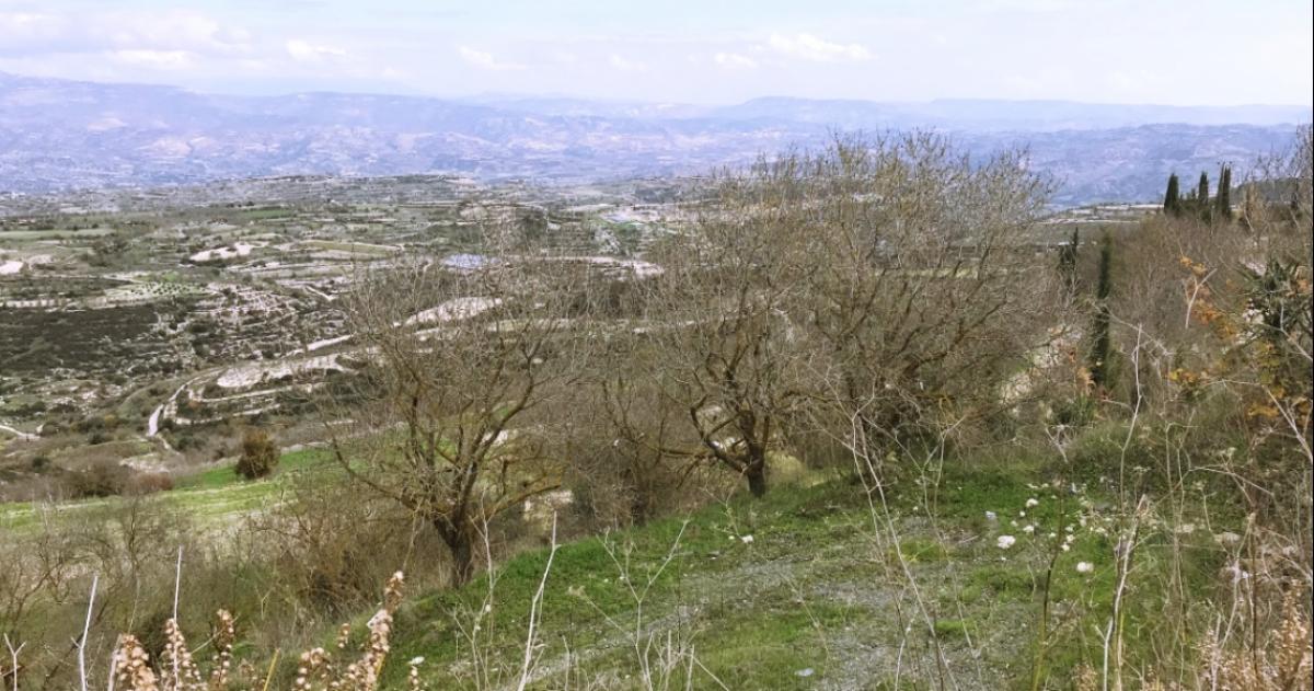 Picture of Residential Land For Sale in Paphos, Paphos, Cyprus