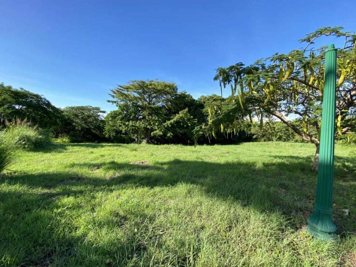 Picture of Residential Land For Sale in Bridgetown, Saint Michael, Barbados