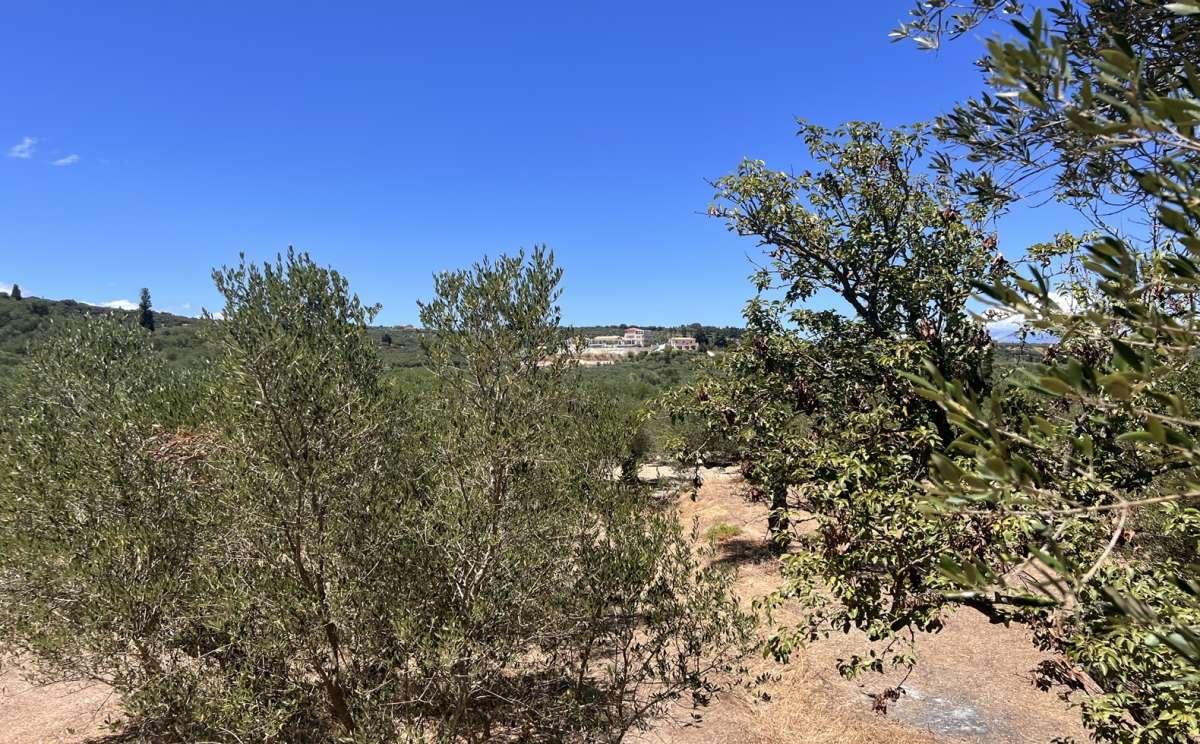 Picture of Residential Land For Sale in Zakinthos, Attica, Greece