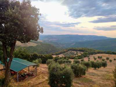 Home For Sale in Castiglione D'Orcia, Italy