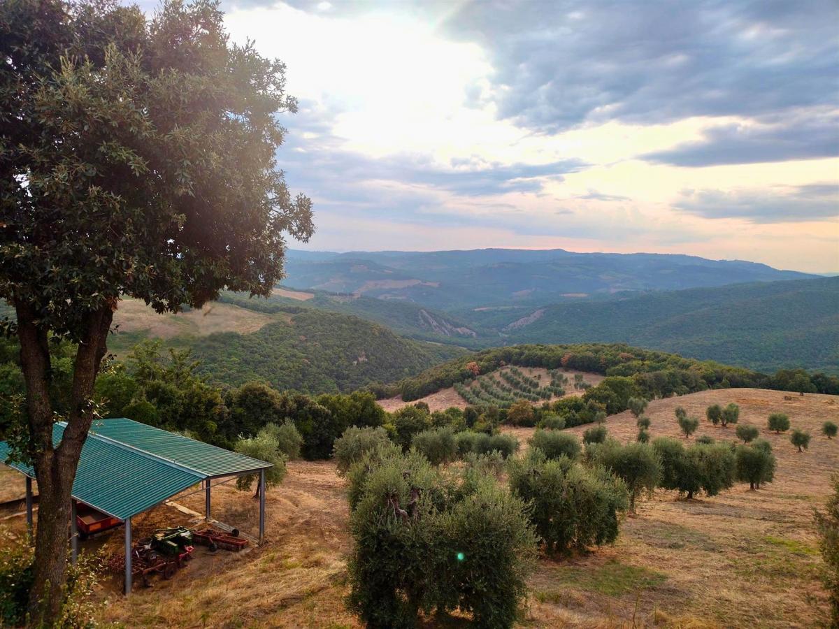 Picture of Home For Sale in Castiglione D'Orcia, Tuscany, Italy