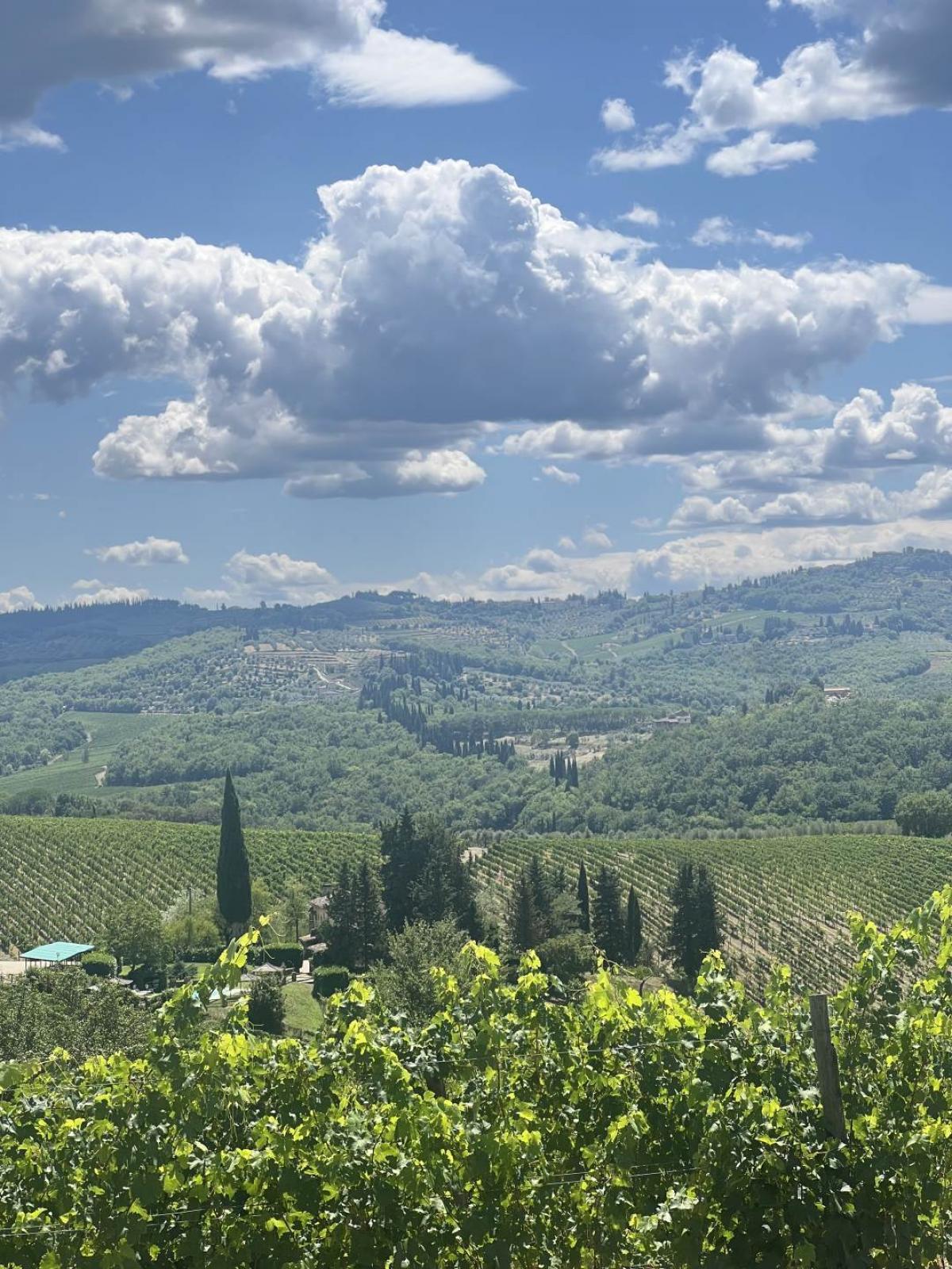 Picture of Apartment For Sale in Greve In Chianti, Tuscany, Italy