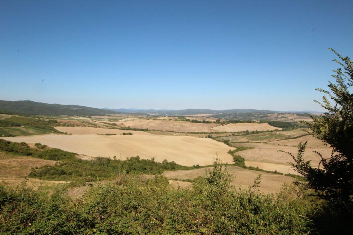 Picture of Home For Sale in Montalcino, Tuscany, Italy