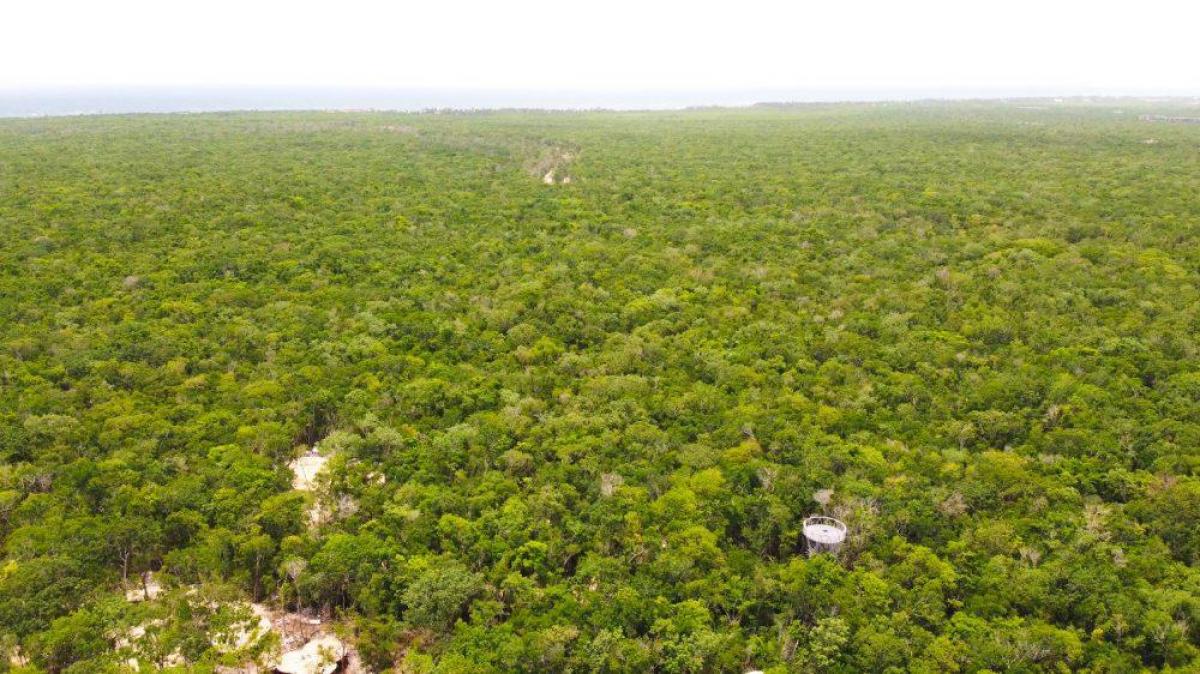 Picture of Residential Land For Sale in Tulum, Quintana Roo, Mexico