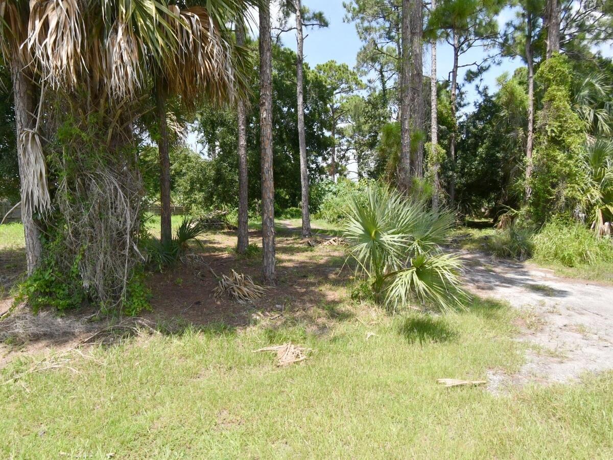 Picture of Raw Land For Sale in Port Saint Lucie, Florida, United States
