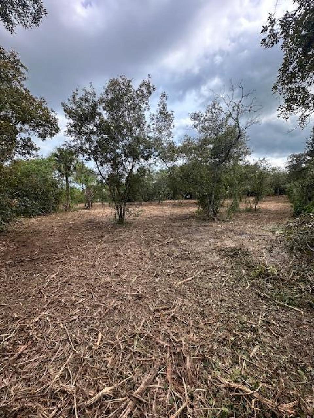 Picture of Raw Land For Sale in Fort Pierce, Florida, United States