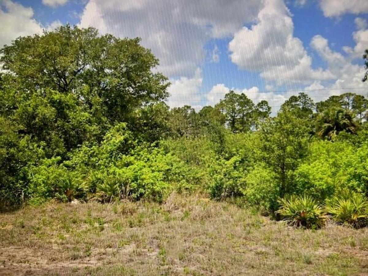 Picture of Raw Land For Sale in Labelle, Florida, United States