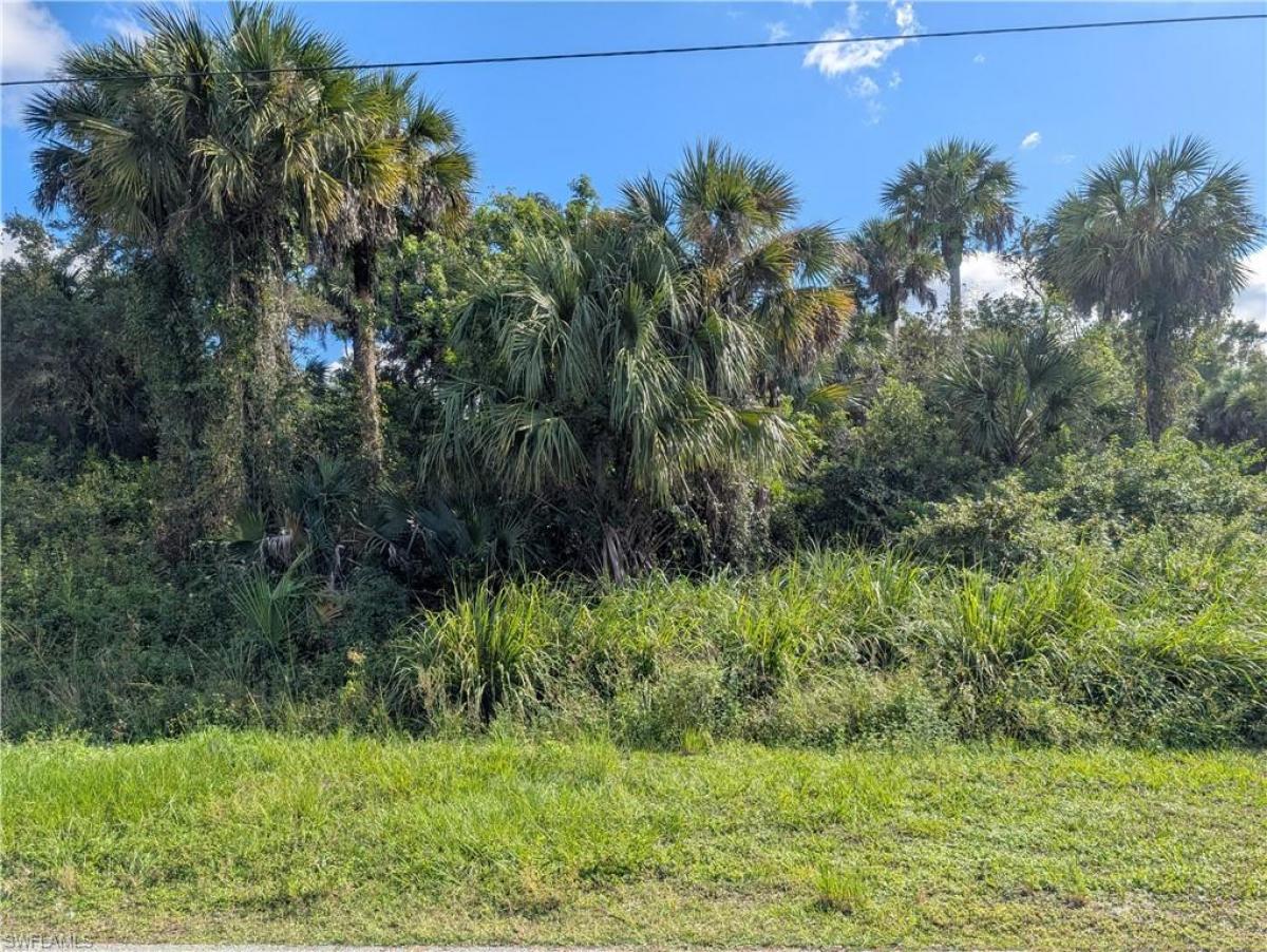 Picture of Raw Land For Sale in Naples, Florida, United States