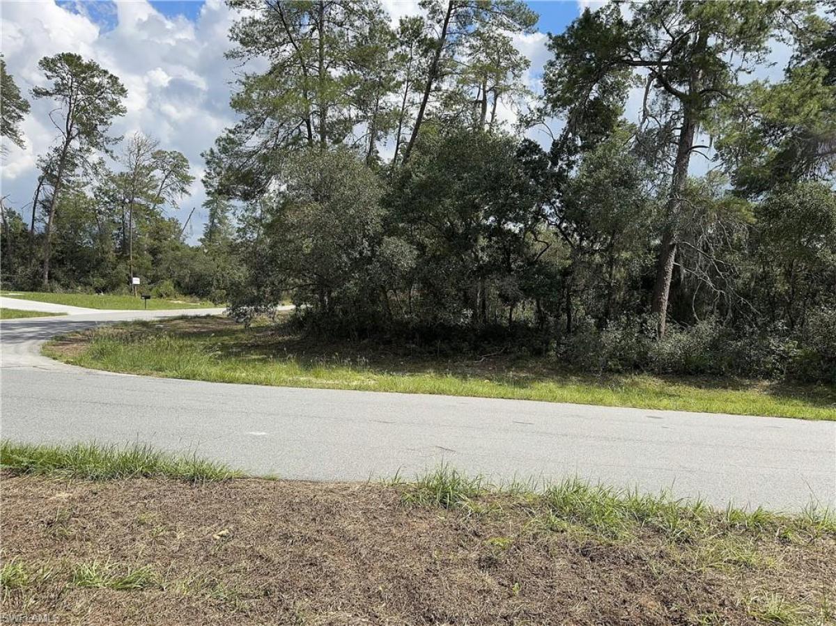 Picture of Raw Land For Sale in Ocala, Florida, United States