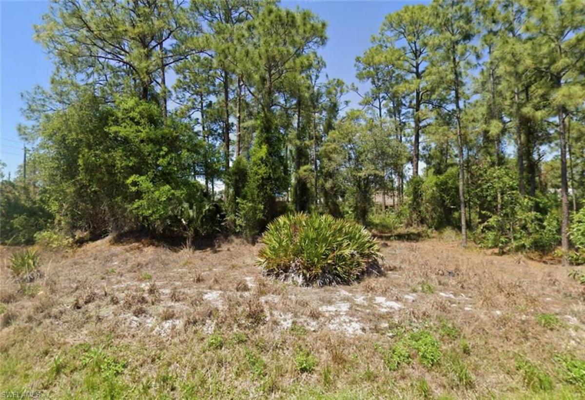 Picture of Raw Land For Sale in Lehigh Acres, Florida, United States
