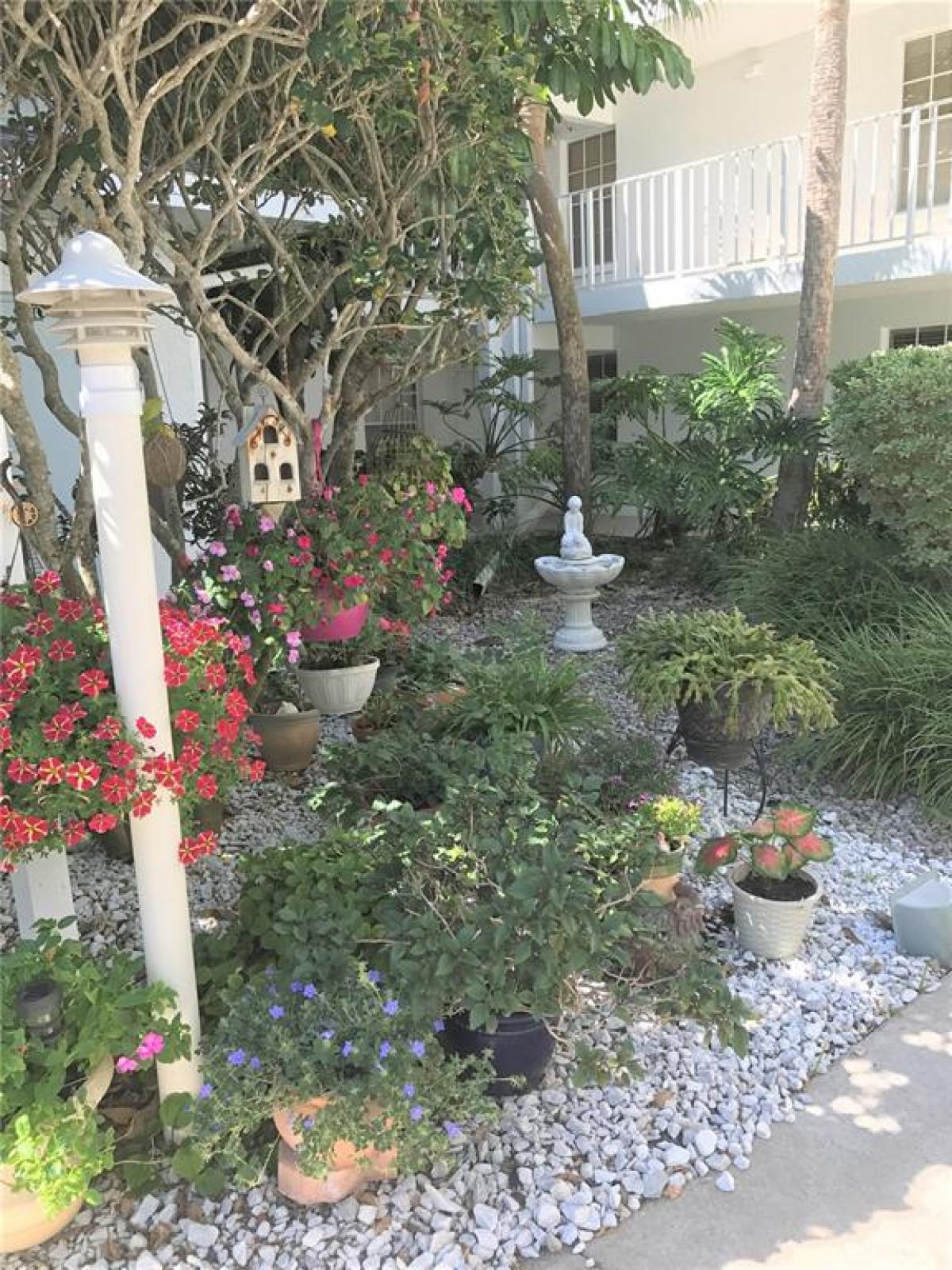 Picture of Condo For Rent in Bradenton, Florida, United States